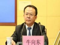 追求低级趣味不正当性关系厅官牛向东